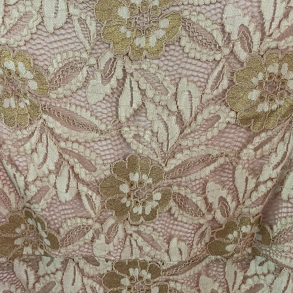 Sui by Anna Sui women’s pink and gold lace fit and flare Midi dress size: Large - Picture 6 of 9